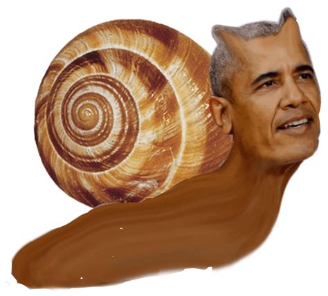 gamble fish obama|This snail.